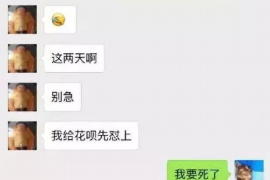 青海融资清欠服务